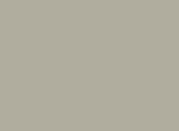 Ash-Grey.jpg