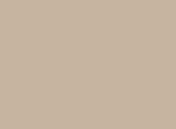 Surrey-Beige.jpg