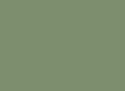 Patina-Green.jpg